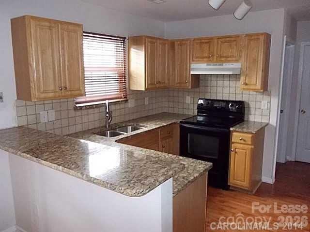 1426 Peach Park Ln - Photo 4 of 16