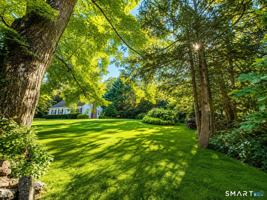 featured image of 37 Weed St