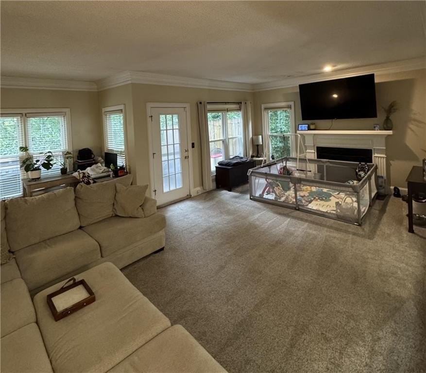 540 Brantley Rd - Photo 4 of 17