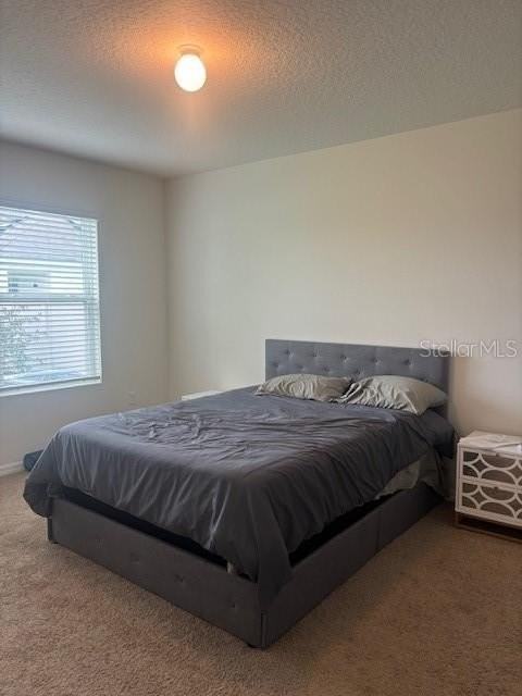 32696 Pez Landing Ln - Photo 4 of 34