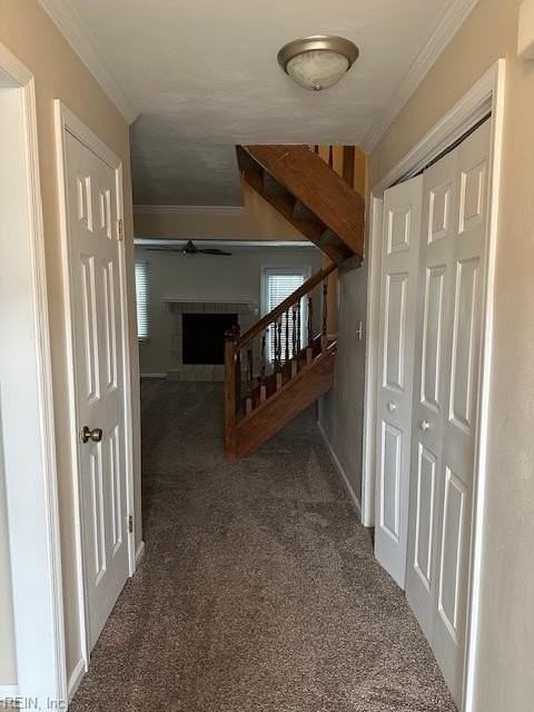 5514 Finespun Last - Photo 5 of 26