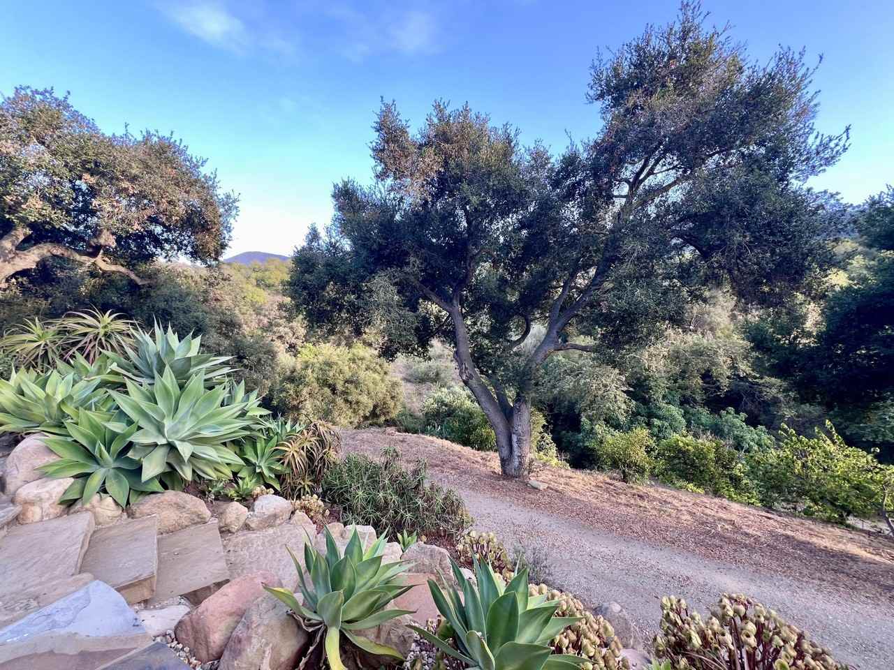 6214 Casitas Pass Rd - Photo 6 of 50
