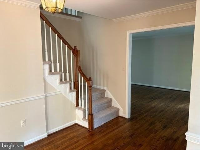 12617 Falconbridge Dr - Photo 4 of 50