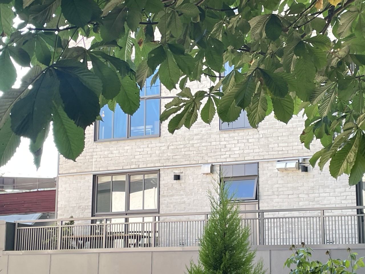 1716 Napier St - Photo 2 of 20