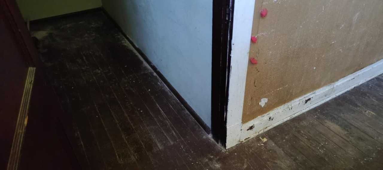 5257 Alcott Ave - Photo 7 of 10