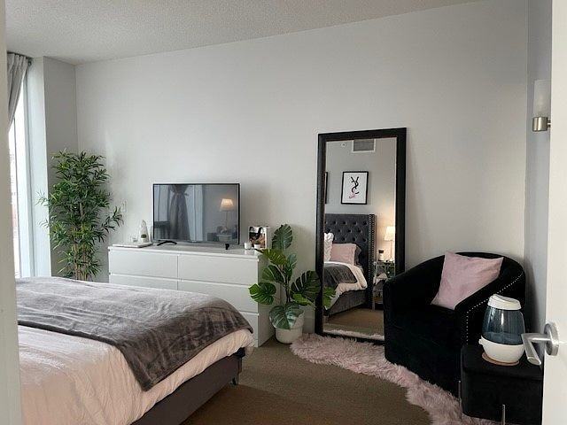 433 Arriva Condominiums - Photo 7 of 12