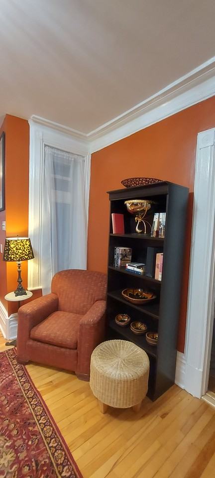Rue Sherbrooke Est & Rue Sanguinet - Photo 6 of 21