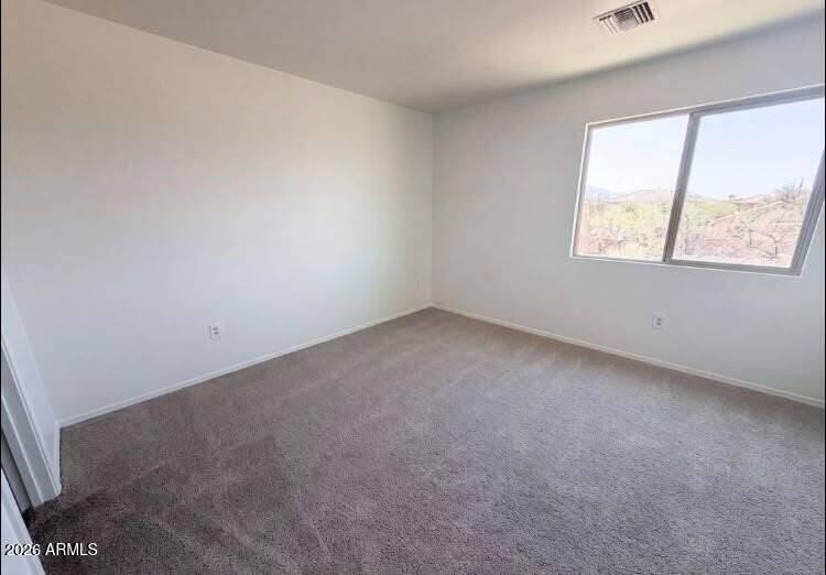 935 W Placita Canalito - Photo 4 of 12