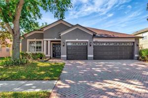 featured image of 29822 Boyette Oaks Pl