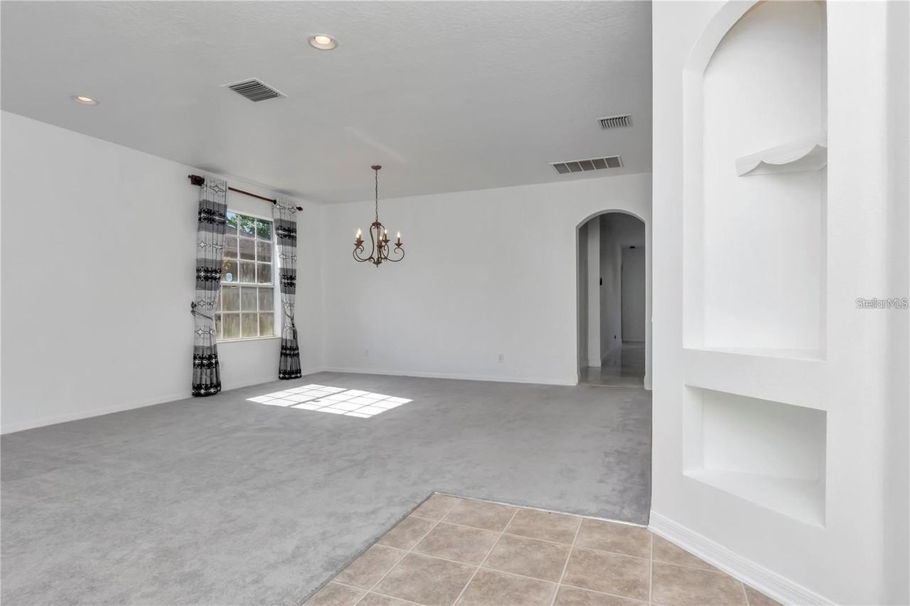 29822 Boyette Oaks Pl - Photo 3 of 27