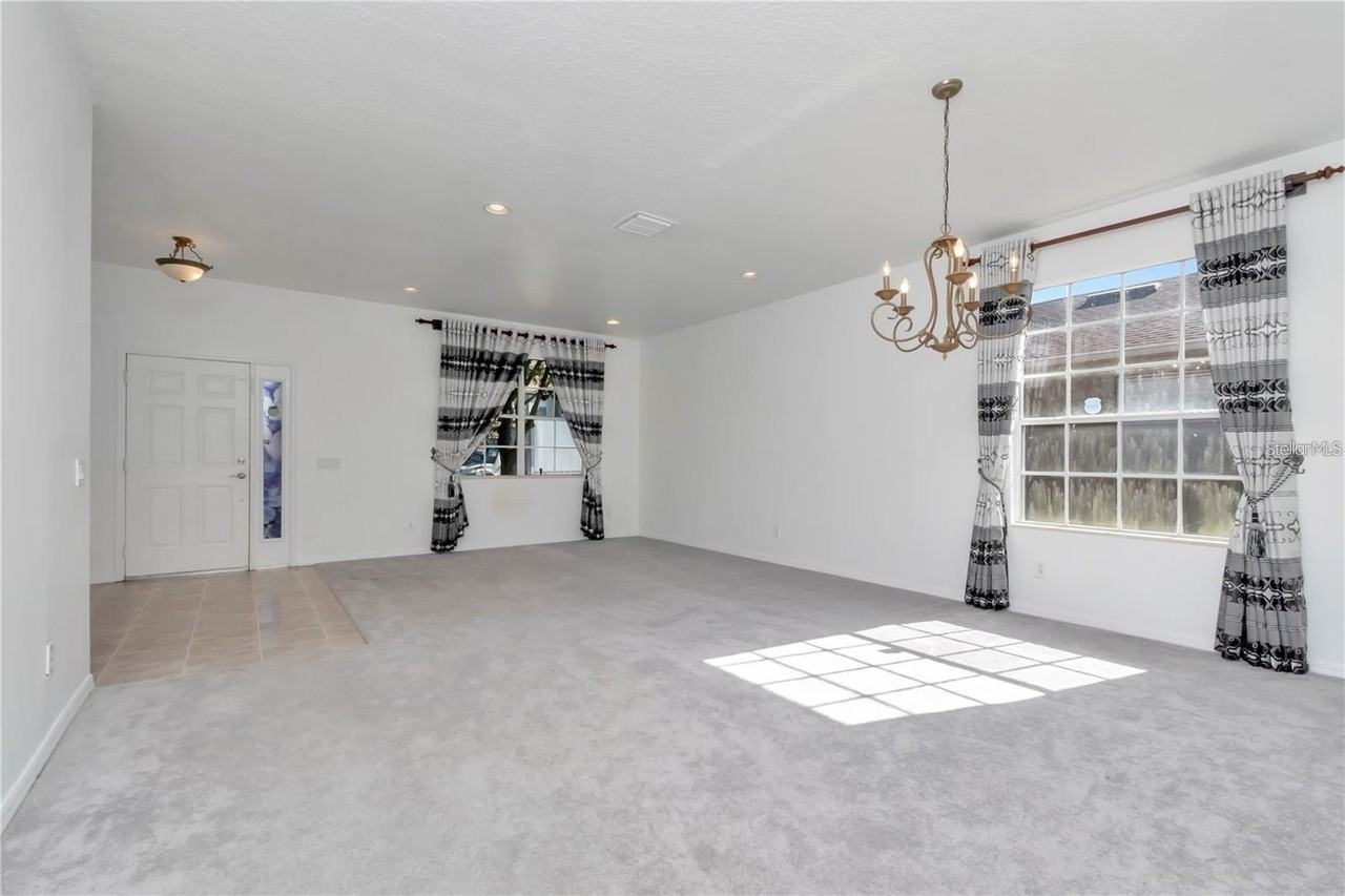 29822 Boyette Oaks Pl - Photo 4 of 27