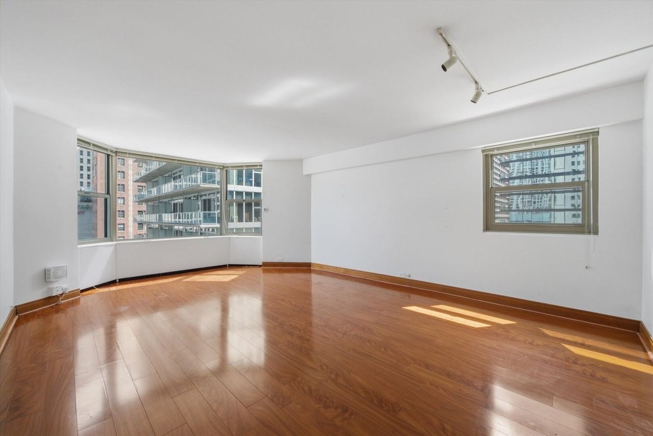 535 N Michigan Ave #1009 - Photo 4 of 17