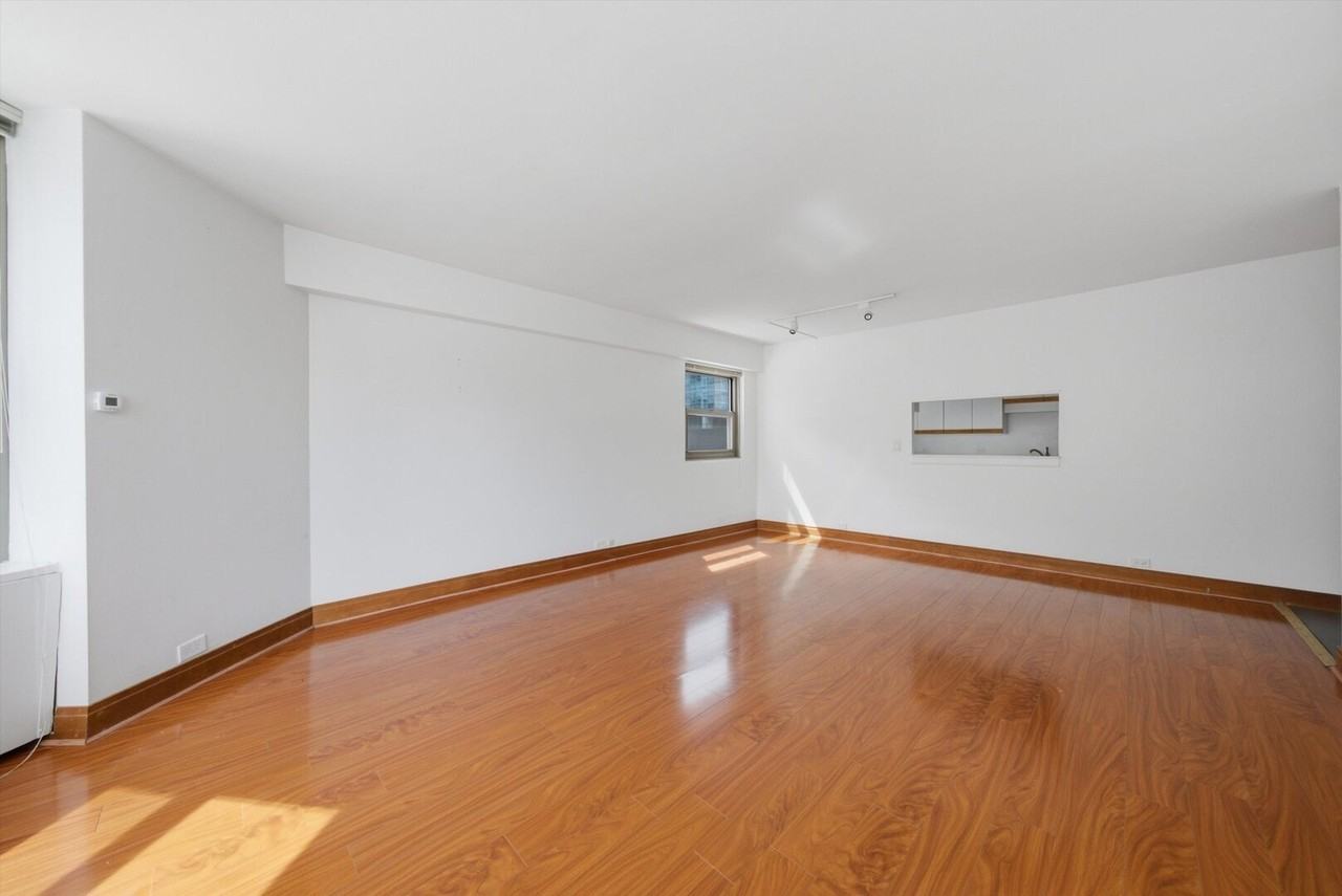 535 N Michigan Ave #1009 - Photo 6 of 17