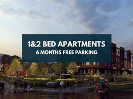 featured image of 110 Lucas St Nw