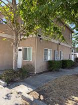 Bonita Street - Photo 1 of 1