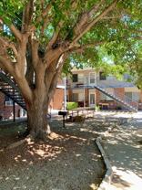 Montano Court Apartments - Photo 1 of 1