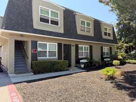 BRACE AVENUE - Photo 1 of 1