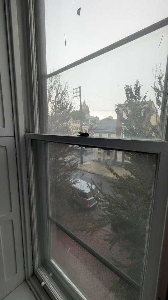 268 Briggs St #3 - Photo 5 of 21