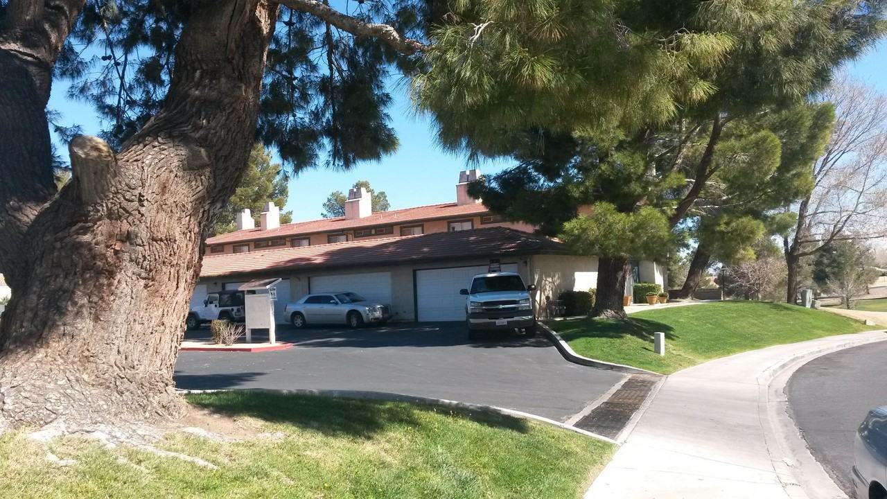 Burning Tree - Photo 3 of 7