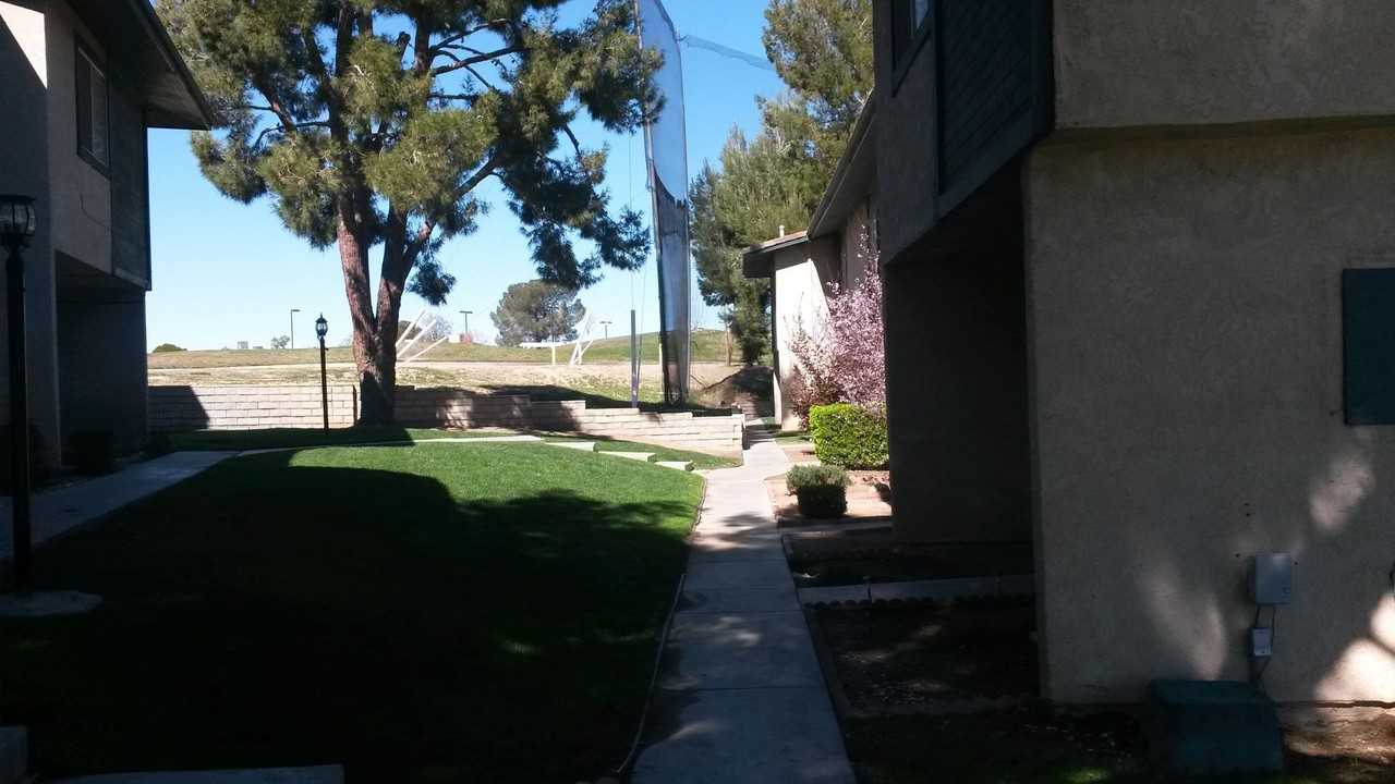 Burning Tree - Photo 6 of 7