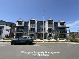 featured image of 209 Wellness Way