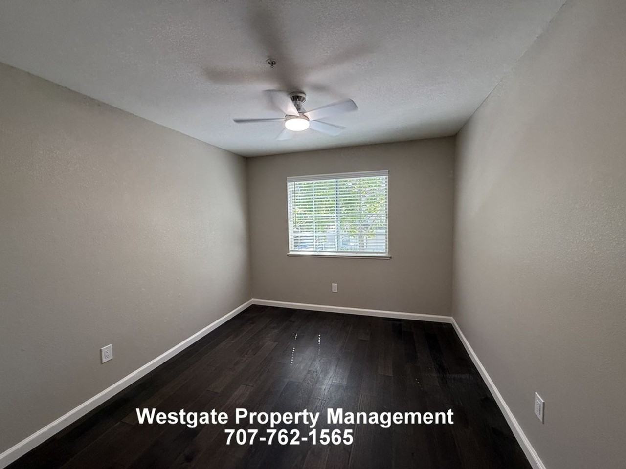 813 Chardonnay Cir - Photo 6 of 15
