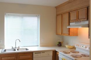 Dawson Village Apartments - Photo 1 of 1
