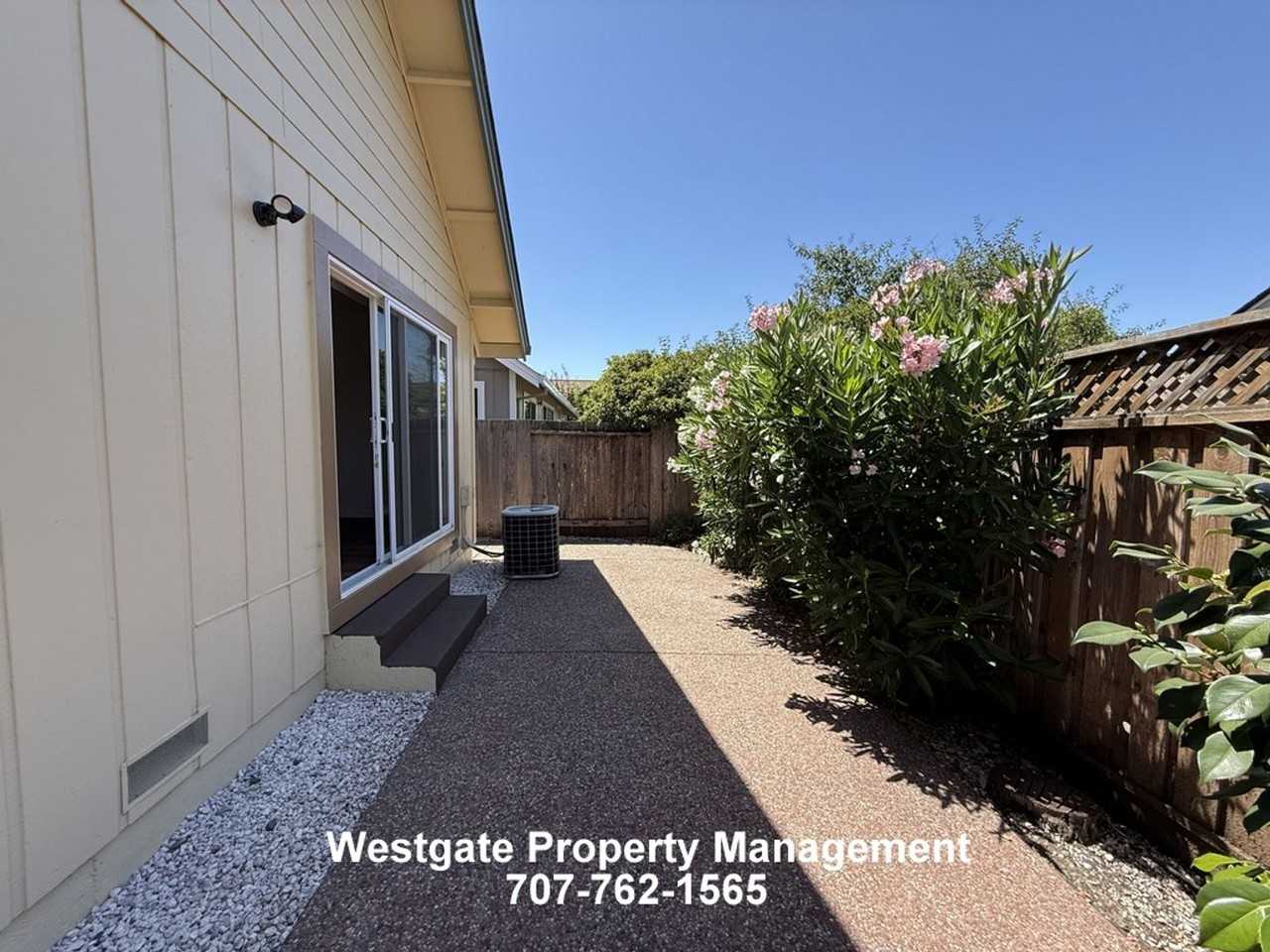 1417 Dandelion Way - Photo 4 of 18