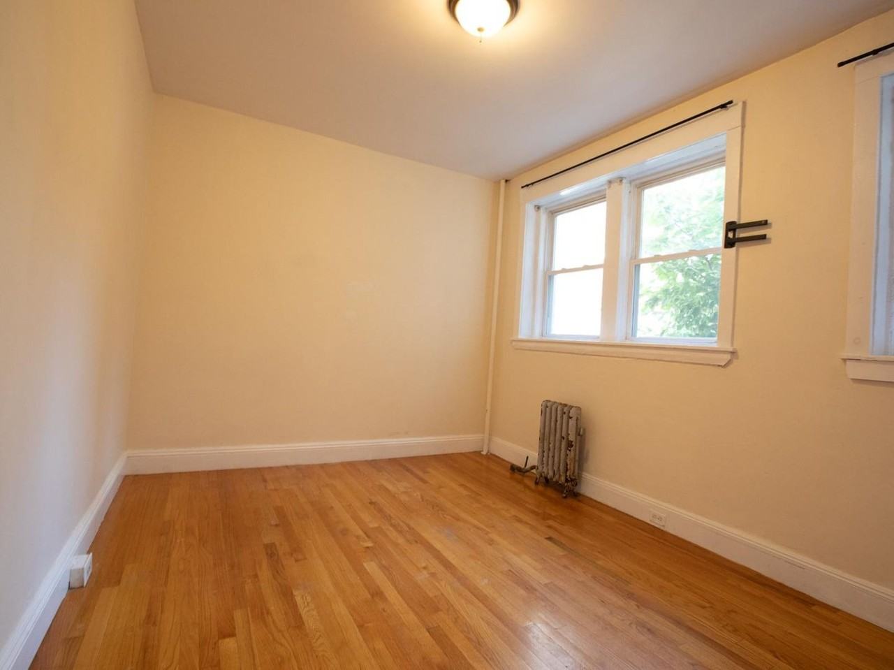 62 Egmont St - Photo 5 of 8