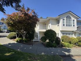 6013 Cedar Grove Drive - Photo 1 of 1