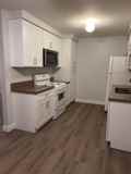 18182 Mandarin Ln - Photo 1 of 1