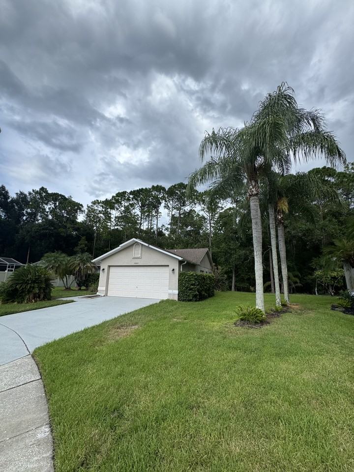 16005 Royal Aberdeen Pl #NA - Photo 6 of 50