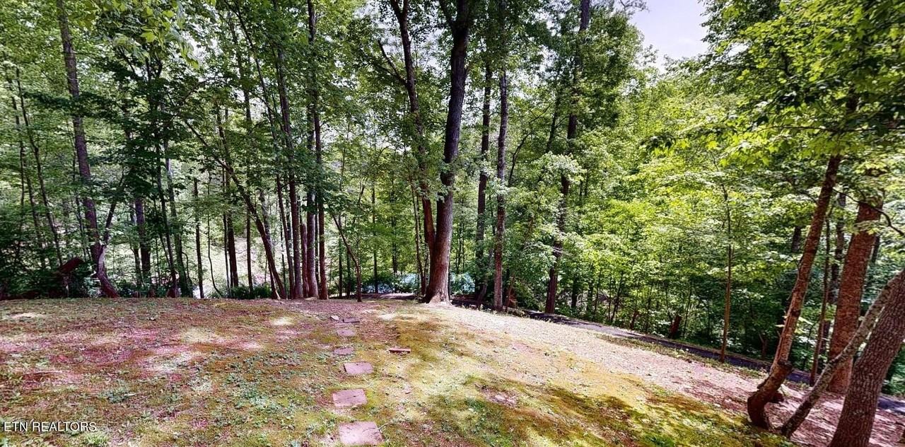 1709 Floyd Way - Photo 4 of 37