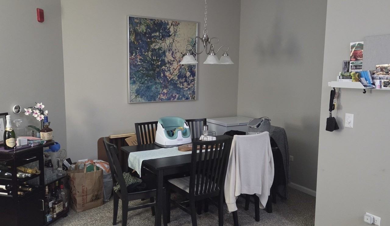 1259 W Lake St #206 - Photo 5 of 13