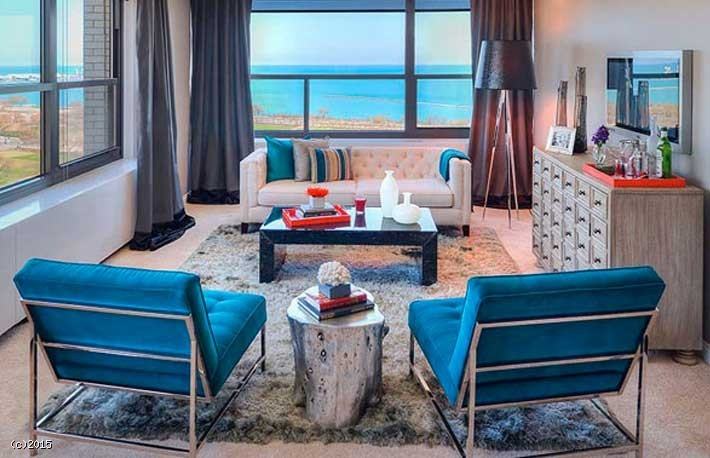 1120 S Michigan Ave #1673