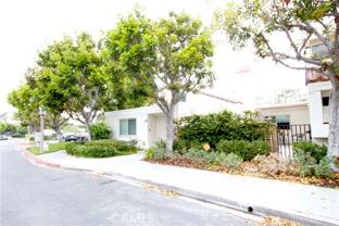32 Morena - Photo 1 of 1