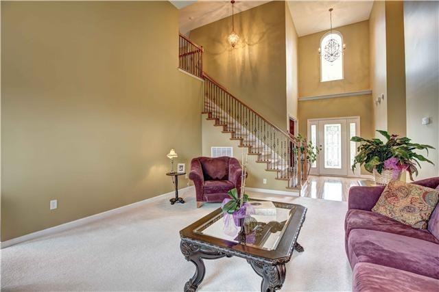 3329 Hickory Run - Photo 4 of 14