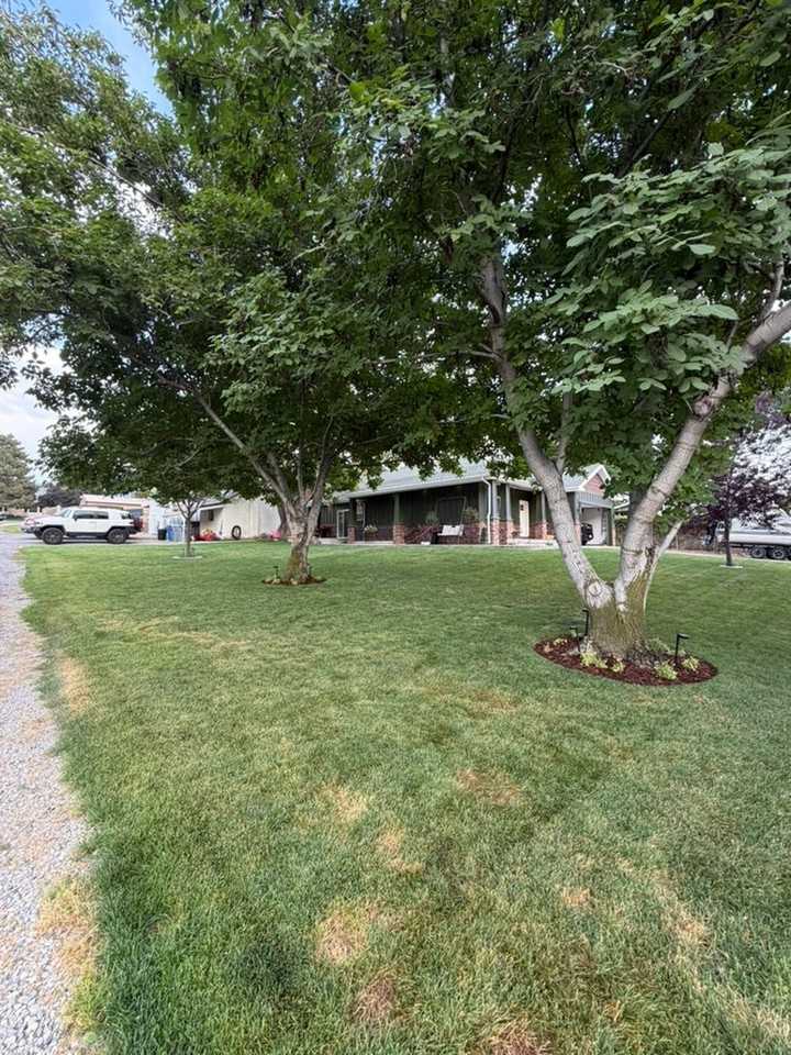 272 Nw #272 - Photo 4 of 20