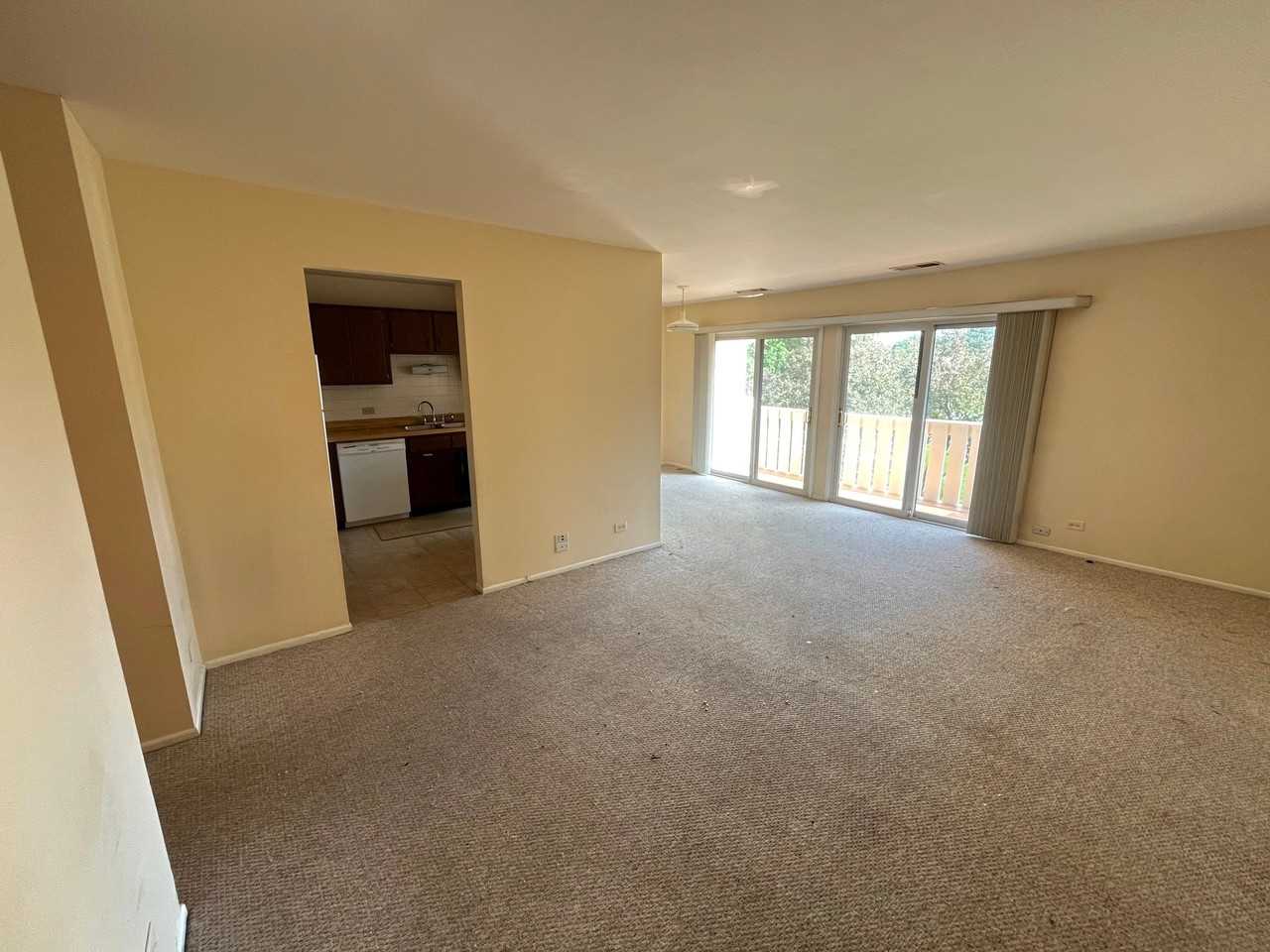 1054 Deerpath Ct #C2 - Photo 5 of 16