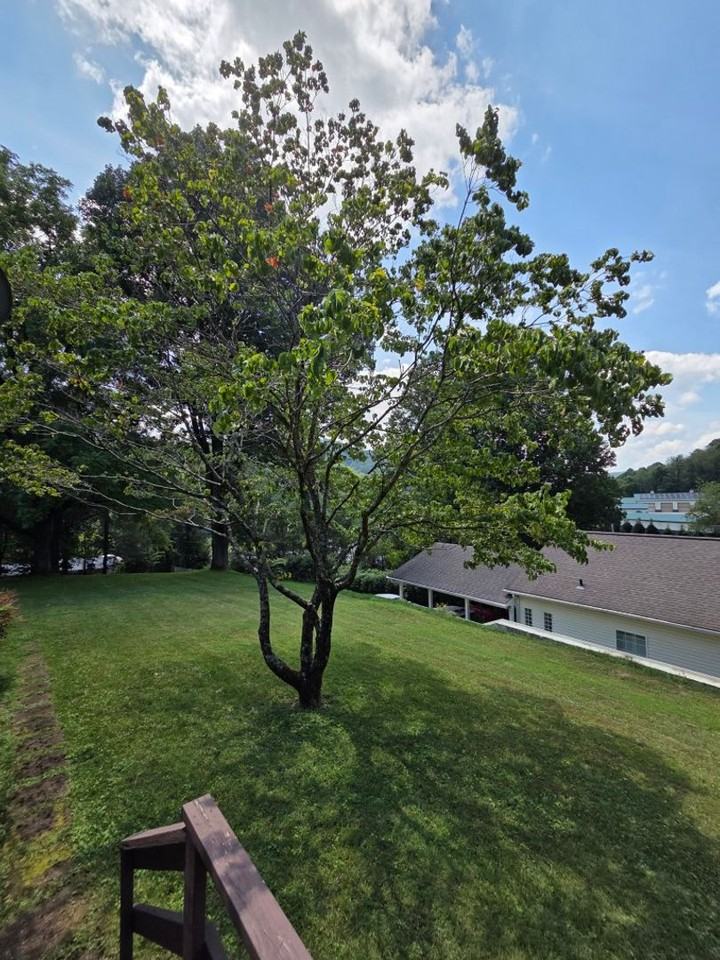 65 Mystic Ln - Photo 2 of 24