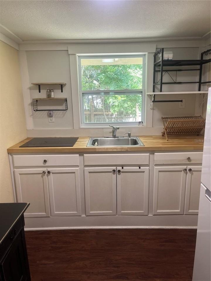 17847 County Road 455 - Photo 3 of 15