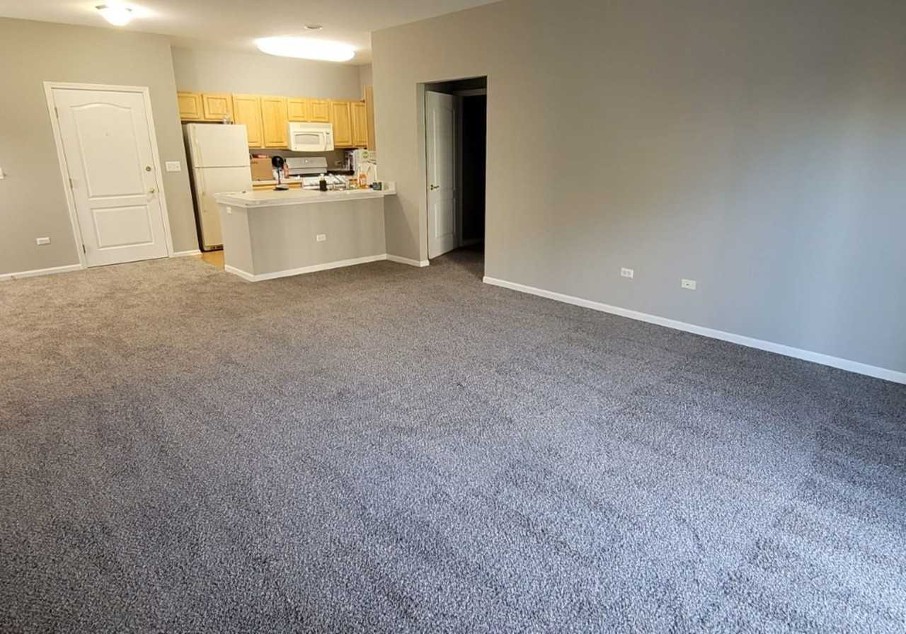 1259 W Lake St #206 - Photo 4 of 13