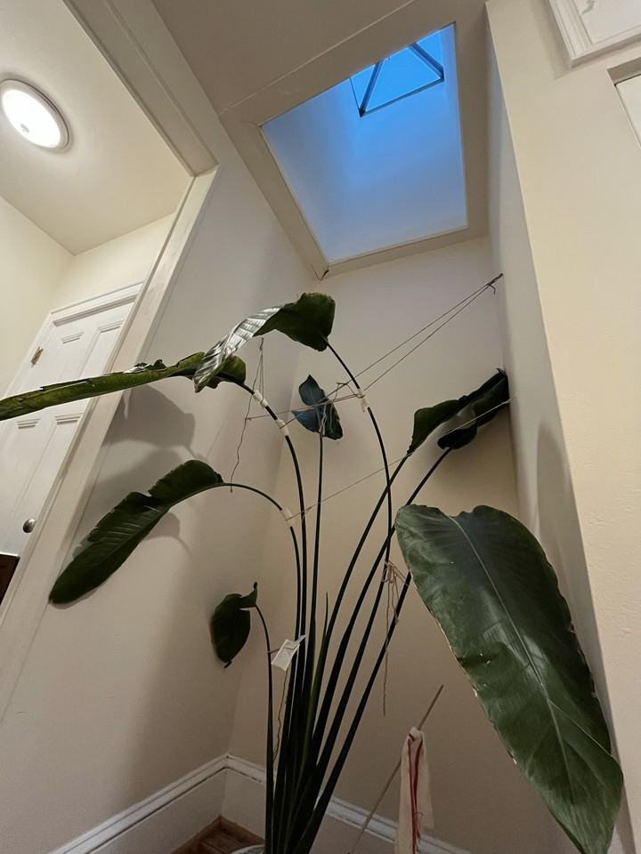 809 Cathedral Street #5 - Photo 2 of 29