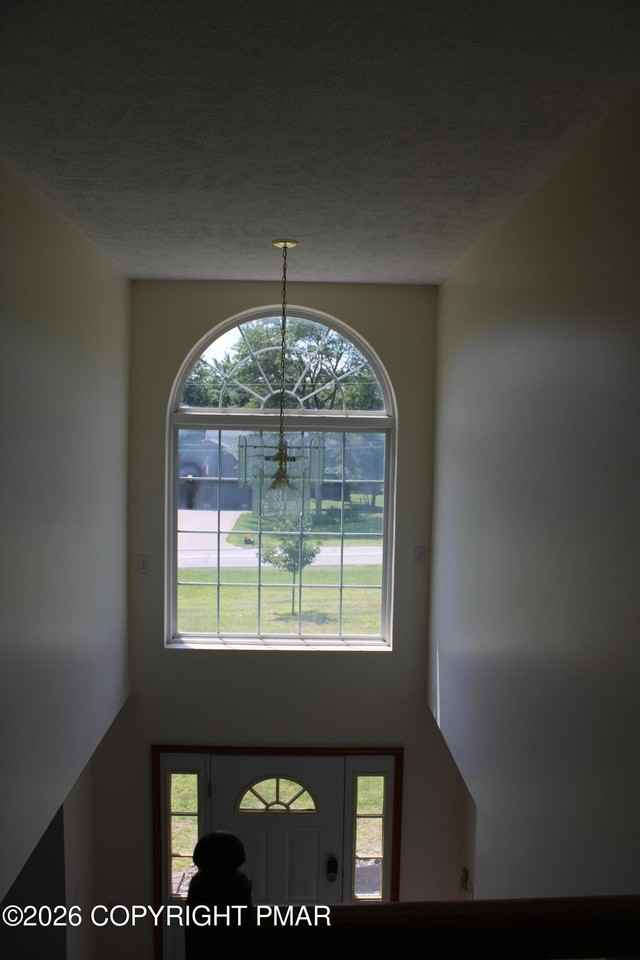 2442 Tacoma Dr - Photo 4 of 42