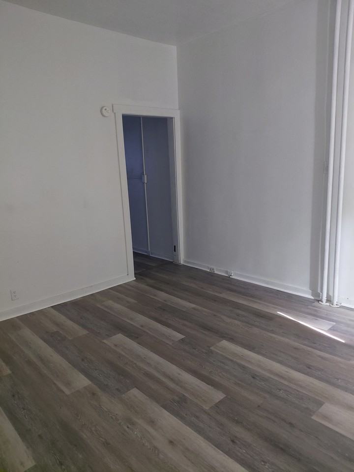 336 N 6th st1F #1F - Photo 3 of 4