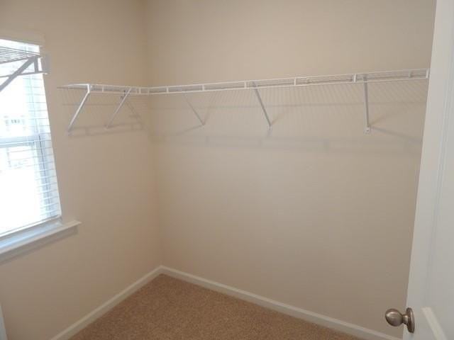 208 Oakmont Valley Trl - Photo 7 of 20