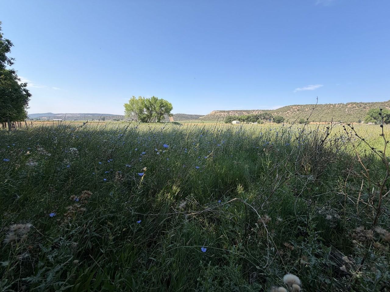 277 Animas River Rd - Photo 2 of 42