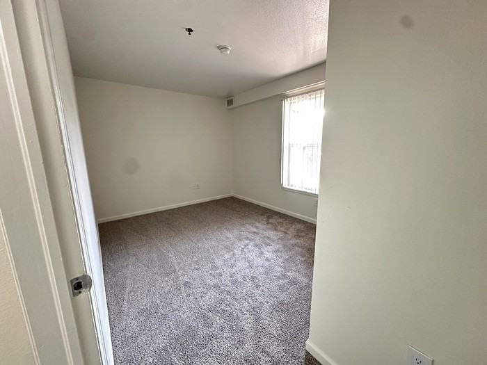 10774 Belle Creek Blvd #219 - Photo 6 of 24