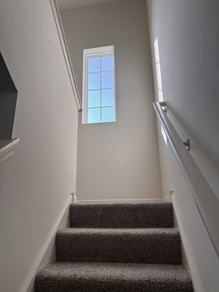 6551 Sassafras Way #C - Photo 5 of 17