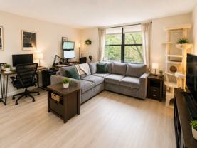 30 Rutland St #3 - Photo 1 of 1